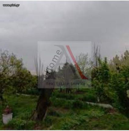 Οικόπεδο 800 τ.μ. για πώληση, Ν. Καρδίτσας, Άρνη