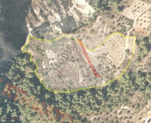 Αγροτεμάχια 19.600 τ.μ. για πώληση, Κορινθία, Ευρωστίνη