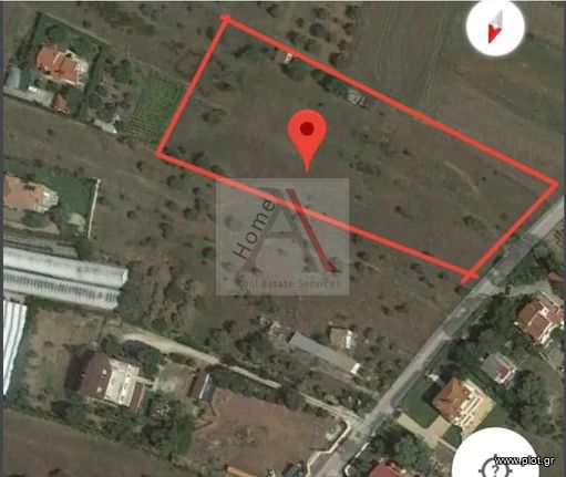 Αγροτεμάχια 9.111 τ.μ. για πώληση, Αττική - Υπόλοιπο, Κ. Καπανδριτίου