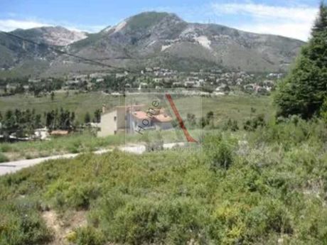 Οικόπεδο 800 τ.μ. για πώληση