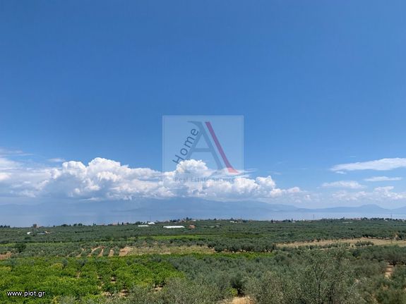 Αγροτεμάχια 38.000 τ.μ. για πώληση, Κορινθία, Ξυλόκαστρο