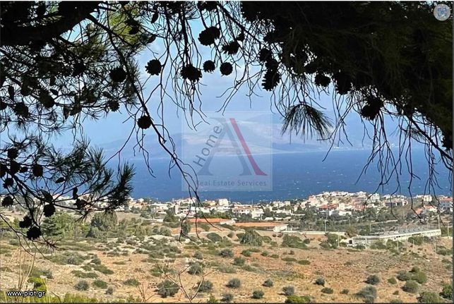 Οικόπεδο 568 τ.μ. για πώληση, Αττική - Υπόλοιπο, Ραφήνα