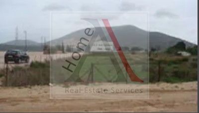 Land plot 4.050sqm for rent-Markopoulo » Center