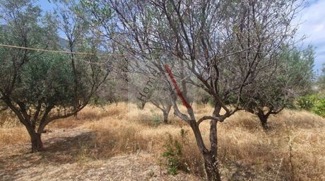 Land plot 800sqm for sale-Xilokastro » Kato Pitsa