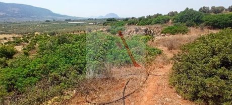 Land plot 4.000sqm for sale-Korinthos » Thymariona