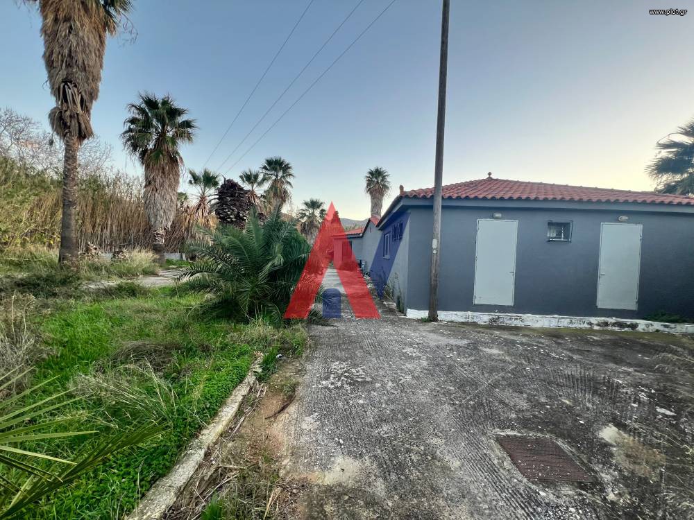 Οικόπεδο 5.000 τ.μ. προς πώληση, Νέα Στύρα