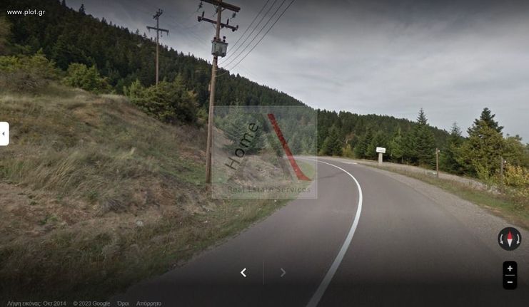 Οικόπεδο 4.000 τ.μ. για πώληση, Φθιώτιδας, Παύλιανη