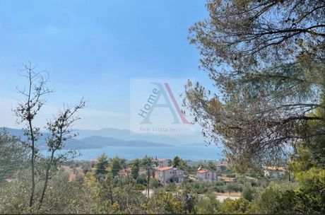 Land plot 1.020sqm for sale-Malesina » Theologos