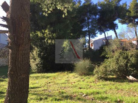 Οικόπεδο 1.100 τ.μ. για πώληση