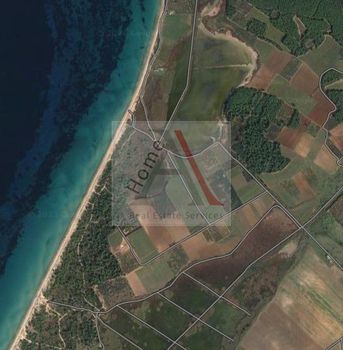 Land plot 7.000sqm for sale-Kassandra » Filakes Kassandras