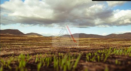 Parcel 5.000sqm for sale-Thiva » Center