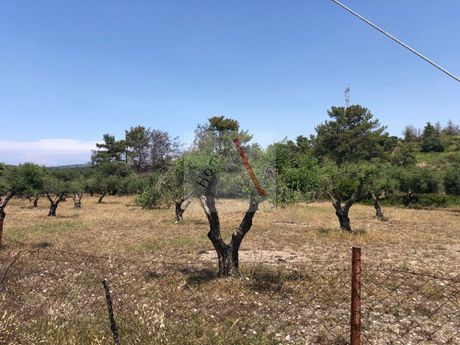 Land plot 16.180sqm for sale-Rhodes » Petaloudes