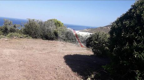 Land plot 980sqm for sale-Kimi » Oxilithos