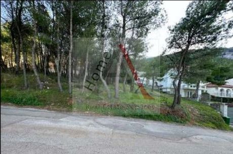Οικόπεδο 800 τ.μ. για πώληση