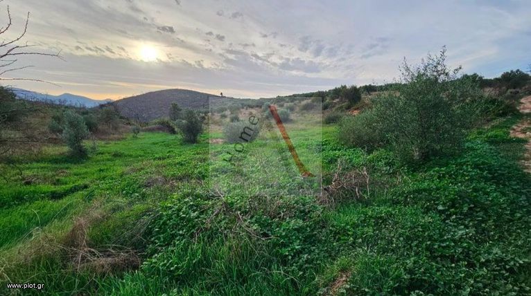 Parcel 78.257 sqm for sale, Corinthia, Saronikos