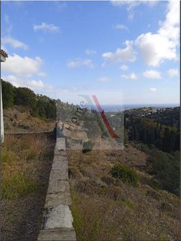 Αγροτεμάχια 32.900τ.μ. για πώληση-Άνδρος » Χώρα