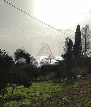 Άλλο 600τ.μ. για πώληση-Κέρκυρα » Παρέλι