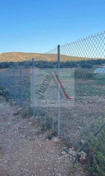 Οικόπεδο 1.150τ.μ. για πώληση-Μαρκόπουλο » Κουλιδάς