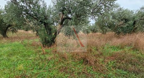 Αγροτεμάχια 2.500τ.μ. για πώληση-Νεμέα » Αρχαίες κλεωνές