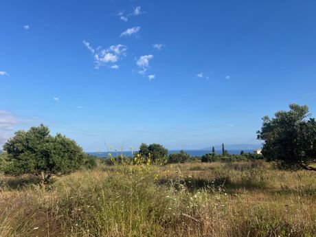 Parcel 20.623sqm for sale-Kefalonia » Leivatho