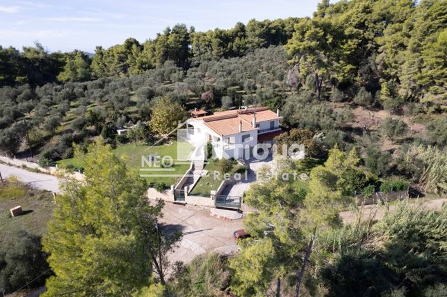 Μεζονέτα 236 τ.μ. για πώληση, Ν. Ηλείας, Πύργος