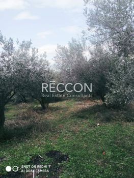 Land plot 2.809sqm for sale-Aidipsos » Agios