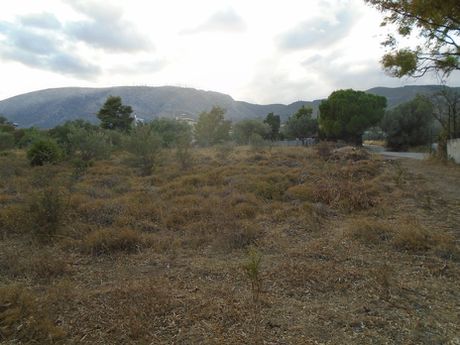 Οικόπεδο 4.560 τ.μ. για πώληση