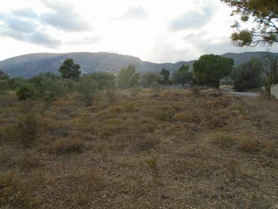 Land plot 4.560 sqm for sale, Athens - East, Pallini