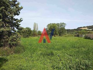 Αγροτεμάχια 1.901 τ.μ. για πώληση