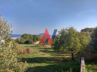 Οικόπεδο 1.830 τ.μ. για πώληση