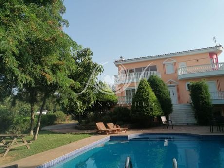 Βίλλα 287τ.μ. για πώληση-Αλεξανδρούπολη » Παλαγία
