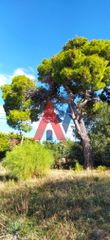 Land plot 290 sqm for sale