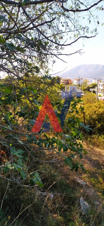 Οικόπεδο 290 τ.μ. πρός πώληση, Αθήνα - Ανατολικά Προάστια, Ανθούσα