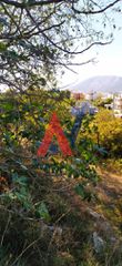Οικόπεδο 290 τ.μ. πρός πώληση, Αθήνα - Ανατολικά Προάστια, Ανθούσα-thumb-4