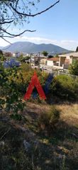 Οικόπεδο 290 τ.μ. πρός πώληση, Αθήνα - Ανατολικά Προάστια, Ανθούσα-thumb-8