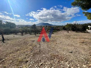 Land plot 8.000 sqm for sale