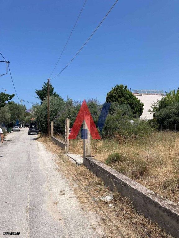 Οικόπεδο 1.352 τ.μ. για πώληση, Ν. Καβάλας, Θάσος