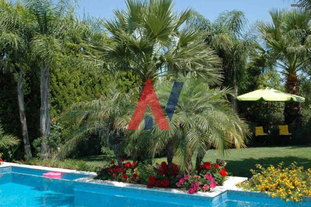 Βίλλα 500 τ.μ. πρός πώληση, Αθήνα - Ανατολικά Προάστια, Κορωπί