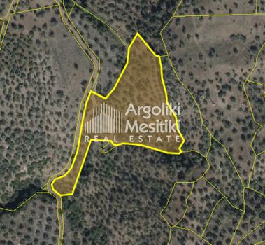 Parcel 10.000sqm for sale-Epidavros » Dimaina