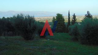 Οικόπεδο 1.000 τ.μ. για πώληση
