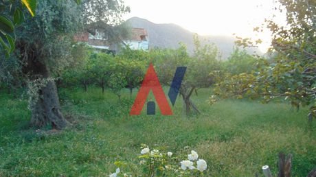 Οικόπεδο 850 τ.μ. για πώληση
