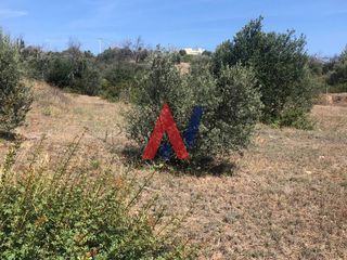 Οικόπεδο 3.272 τ.μ. για πώληση