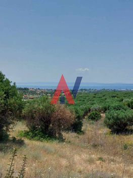 Αγροτεμάχια 12.150 τ.μ. για πώληση