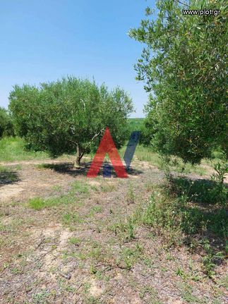 Parcel 10.800 sqm for sale, Chalkidiki, Poligiros