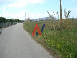 Οικόπεδο 97.093 τ.μ. για πώληση