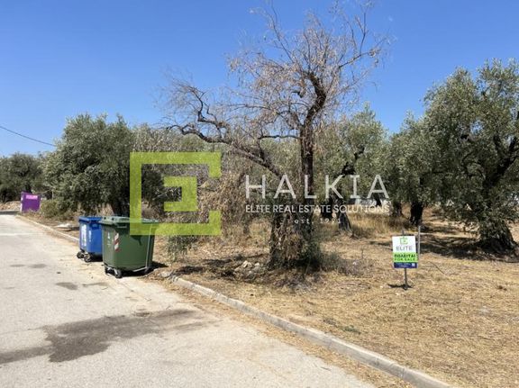 Οικόπεδο 441 τ.μ. για πώληση, Μαγνησία, Αγριά