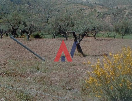 Οικόπεδο 5.225 τ.μ. για πώληση
