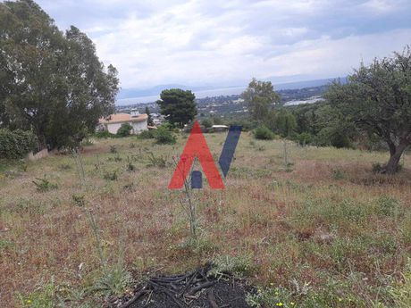 Οικόπεδο 1.817 τ.μ. για πώληση