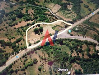 Οικόπεδο 7.800 τ.μ. για πώληση, Αρκαδία, Βιτίνα-thumb-6