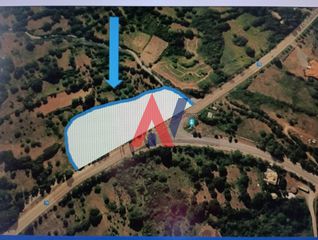 Οικόπεδο 7.800 τ.μ. για πώληση, Αρκαδία, Βιτίνα-thumb-9